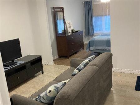 3 1/2 à louer dans le cartier Rosemont