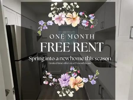 227 Cathcart Street | 227 Cathcart Street, London