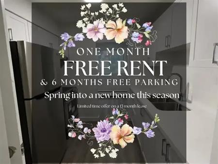 852 Trafalgar Street | 852 Trafalgar Street, London