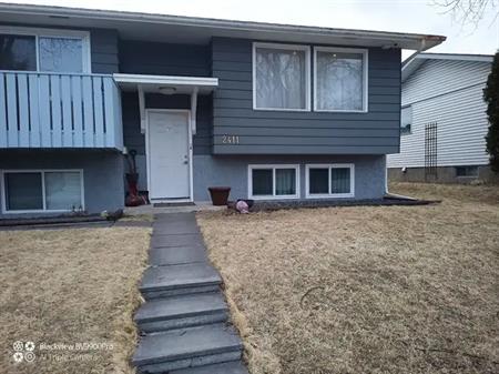 Privat Basement | 2411 51 Street Northeast, Calgary