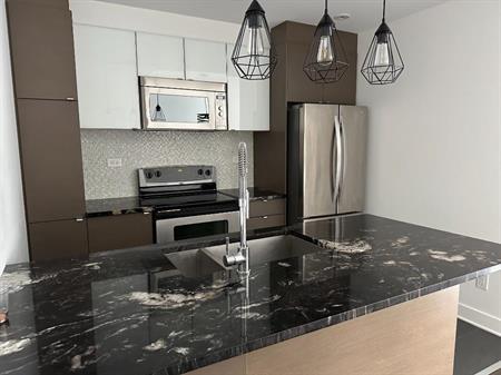 Condo Rouge 3 1/2. ( 1 stationnement inclus)