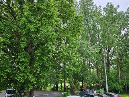 Beauté., Luminosité et tranquillité sur le Golf à Saint-Lambert