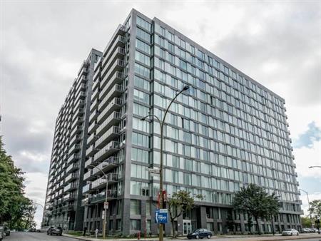 Logement 1 Chambre 1 Salle de Bain - Rue St Catherine (Downtown Montreal)