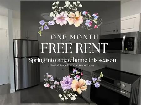 25 Orchard Street | 25 Orchard Street, London