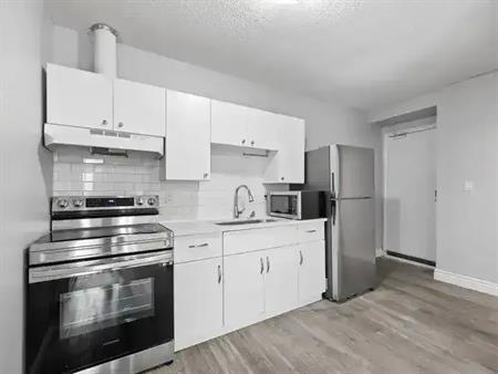 🏡 Beautiful 2 Bedroom Apartment in the Heart of Walkerville – Available Now! | 1344 Wyandotte Street East, Windsor