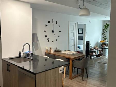 Magnifique appartement, style condo, quartier St-Roch semi-meublé