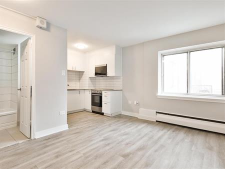 One Bedroom - 1225 Rue Saint Marc, Ville-Marie