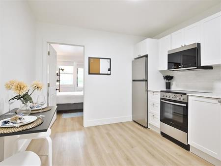 3 Bedroom + Den - 1675 Rue Rachel Est, Montréal