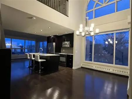 2 bed and loft AC penthouse with 2 decks | 407 - 1730 5A Street Southwest, Calgary