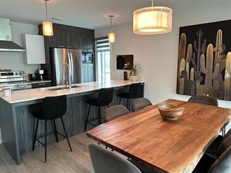 Grand logement 4 1/2 lumineux avec salle à lavage