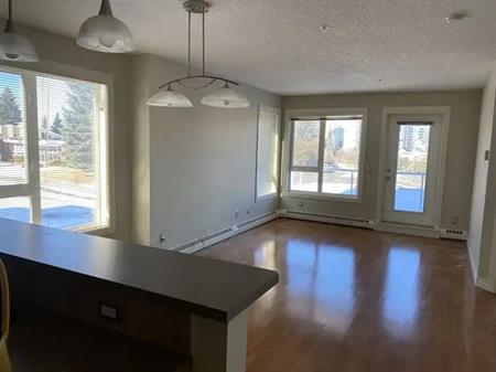 Large One Bedroom near University | 201 - 3101 34 Avenue Northwest, Calgary