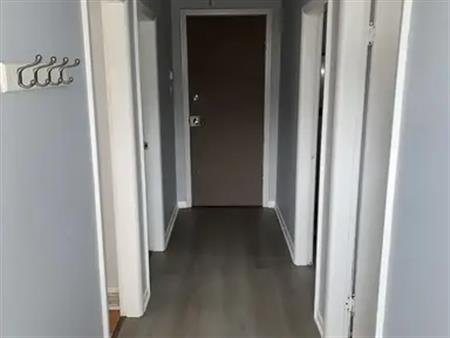 Renfrew Lower Level Legal Suite | 916 Renfrew Dri NE, Calgary