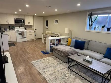 Great basement suite with oversized bedroom | 9640 Academy Drive Southeast, Calgary