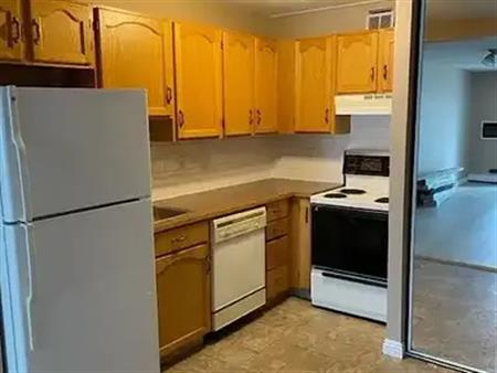 Updated 2 bedroom condo conveniently located. Walk to Downtown! | 703 - 735 12 Ave SW, Calgary