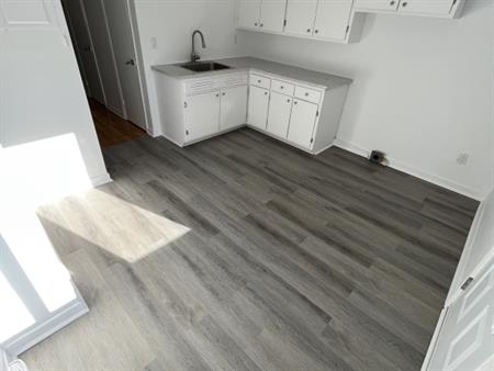 3 1/2 Lumineux, Disponible Dès Le 1er Ju