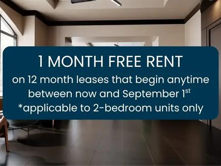 435 Albert St. - Domaine 435 | 435 Albert St., Ottawa