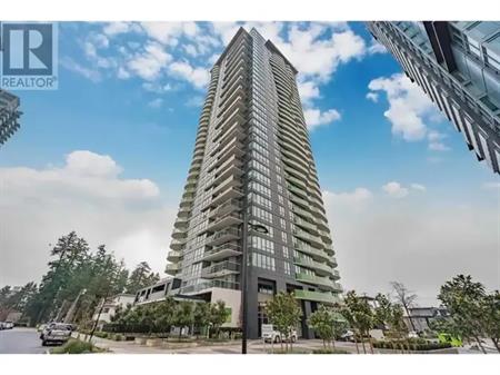 26XX 6638 DUNBLANE AVENUE | 26XX 6638 DUNBLANE AVENUE, Burnaby