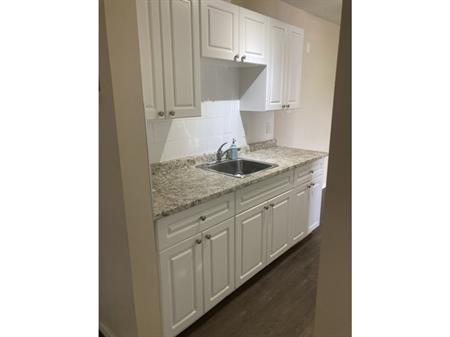 Cozy/Bright 1BDRM Walk to UofA, Whyte Ave Area,  AVAILABLE FEBRUARY 15TH | 10707 81 Avenue Northwest, Edmonton