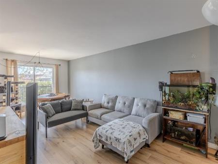 Appartement 4 ½ à louer Lévis juillet 2025