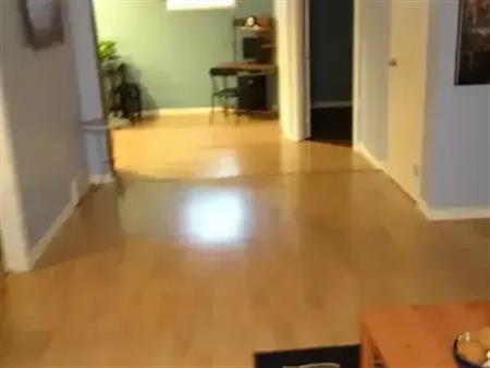 Forest Heights Basement Suite $1150 inc utilities | 10124 80 street, Edmonton