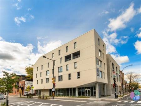 1 juillet/1août Studio tout nouveau au Plateau-Mont-Royal à 5 min du metro Sherbrooke