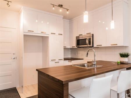 Magnifique condo haut de gamme de 1 chambre
