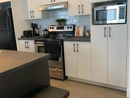 5 et demi 1 juillet 1er étage Wifi St-Hyacinthe