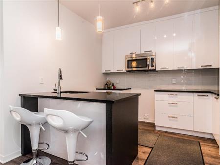 VIVEZ VOTRE LUXE ! Magnifique condo haut de gamme de 2 chambres situé dans un immeuble sécuritaire et près d'un parc.