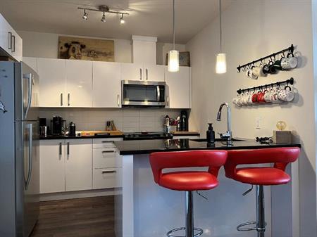 Magnifique condo haut de gamme de 2 chambres situé dans un immeuble sécuritaire et près d'un parc