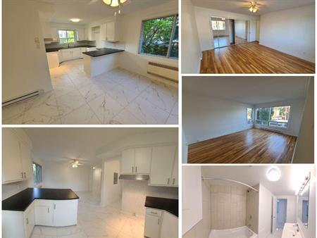 6 1/2 Rooms apartments for rent