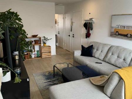 Appartement 4 1/2 à louer à Sainte-foy pour le 1er septembre