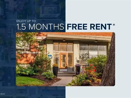 135 MacLaren | 135 MacLaren Street, Ottawa