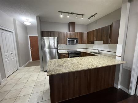 Beautiful 2 Bedroom Condo in The Venetian | 10333 112 Street Northwest, Edmonton