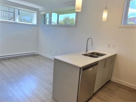Condo 1 Chambre Plateau Gatineau