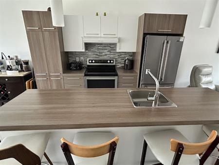 Condo 4 1/2 à Aire Ouverte Sur 2 étages