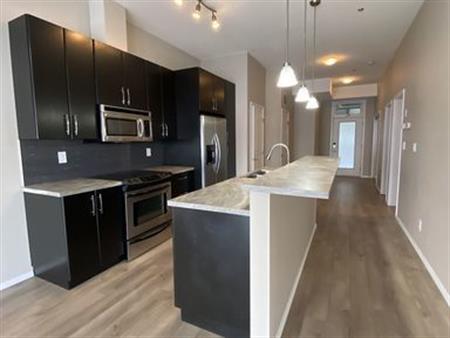 MUST SEE! 2 BED/ 2 BATH CONDO | #216, 10531 - 117 St., Edmonton