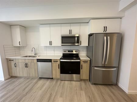 (PN 51) Luxury Studio Suite in Secord | 860 Secord Blvd Nw, Edmonton