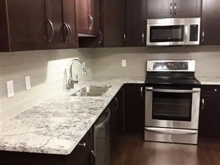 2-Bdrm Walkout Basement Apartment | 8919 181 Ave NW, Edmonton