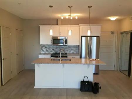 Beautiful 2-Bedroom Condo Available Immediately | 216 - 1004 Rosenthal Blvd, Edmonton
