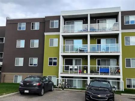 Bright & Spacious 1-Bedroom w/ Park Views, Balcony & Pet Friendly | 4455 Greenview Drive Northeast, Calgary