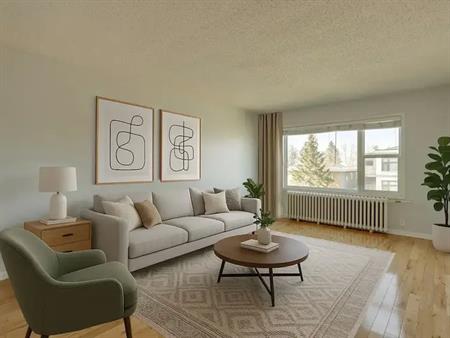 Super Cozy, bright and freshly renovated with mid-century modern vibe! | Calgary