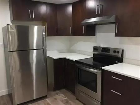 North Delta One Bedroom Legal Basement Suite | 11434 75A Avenue, Delta