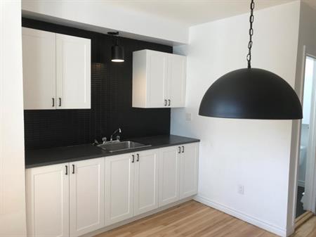 Rosemont,3 pieces tout rénové
