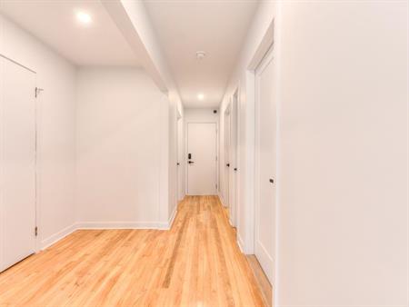 ✨ 3 ½ Rénové au Sous-sol dans le Nouveau-Rosemont – Disponible Maintenant ! ✨