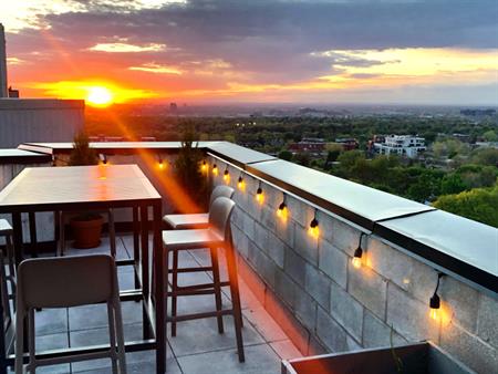 Outremont - 4 1/2 - Terrasse Privée