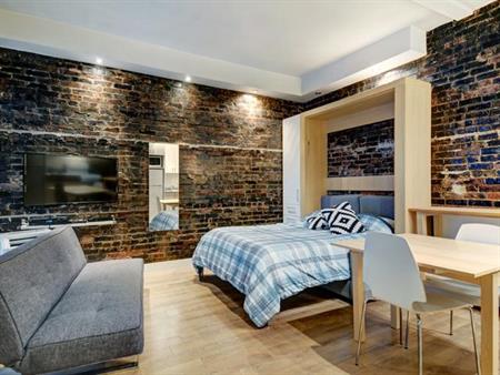 Loft entièrement meublé à louer Saint-Jean-Baptiste juillet 2025