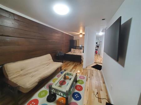 3 1/2 Rénové à Louer dans le Quartier Maisonneuve