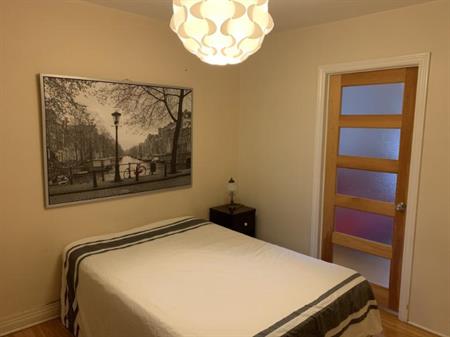 3 1/2 - Montréal (Hochelaga / Maisonneuve) - 1 250 $/mois