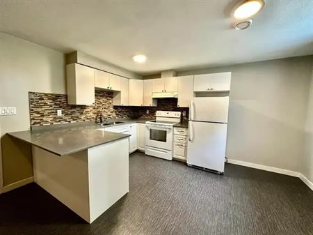 Pet Friendly 2 Bedroom Basement Suite with Utilities Included! | 11134 116 Street, Edmonton