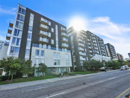 Logement 1 Ch à Louer - Électro Inclus